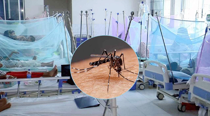 ডেঙ্গুতে আরও একজনের মৃত্যু, হাসপাতালে ভর্তি ৪৬৬ জন