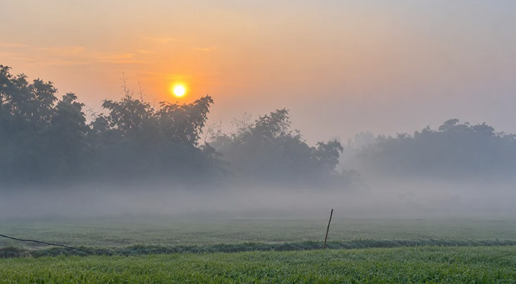 বরিশালে ভোরের কুয়াশায়  শীতের অনুভূতি