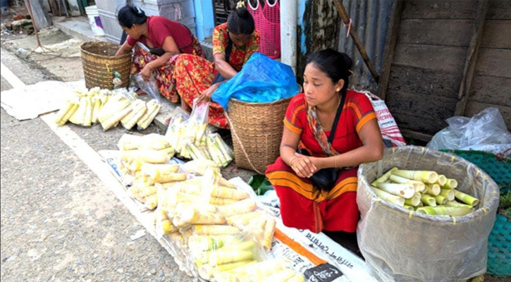 বাঁশ কোড়ল বিক্রি করে সংসার চালাচ্ছেন বান্দরবানের পাহাড়ি নারীরা