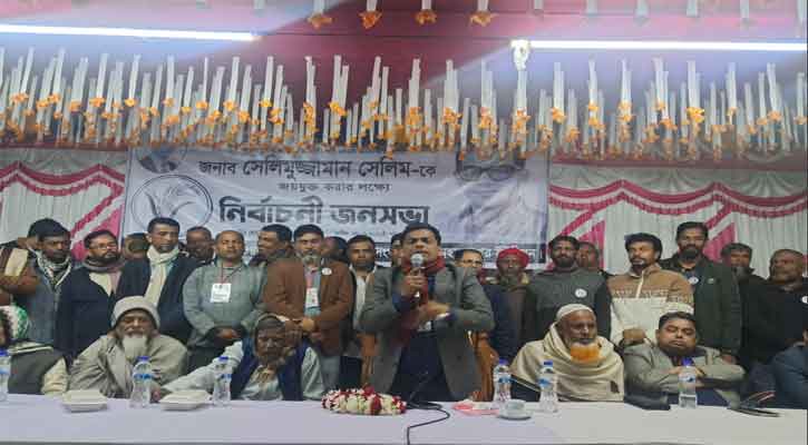 সবাইকে ঐক্যবদ্ধ হয়ে ধানের শীষের পক্ষে কাজ করতে হবে  - সেলিমুজ্জামান সেলিম