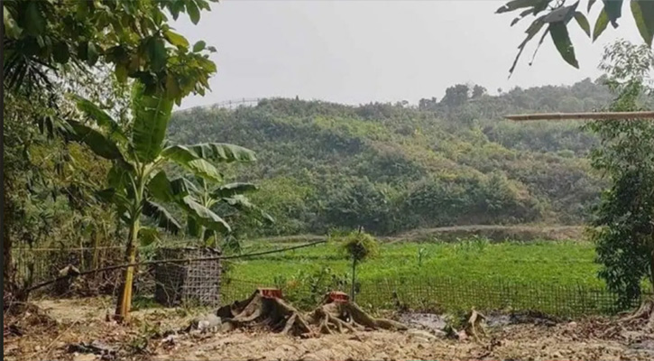বান্দরবান সীমান্তে মাইন বিস্ফোরণে ৩ জন নিহত
