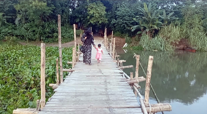 সিরাজগঞ্জে ঝুঁকিপূর্ণ বাঁশের সাঁকো, জীবন ঝুঁকি আর চাঁদার বোঝা বহন করছে গ্রামবাসী
