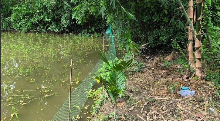 নাঙ্গলকোটে সংখ্যালঘু পরিবারের ওপর হামলার অভিযোগ, ধানের চারা নষ্ট