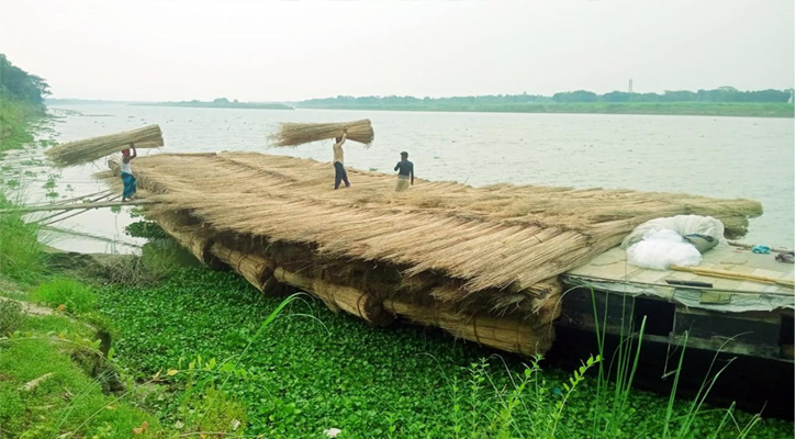 মাগুরার পাটকাঠিতে সচল নারায়ণগঞ্জ ও বরিশাল