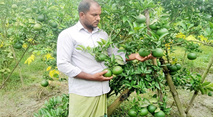 বাসচালক থেকে সফল উদ্যোক্তা মিজানুরের ‘সবুজ ভুবন’