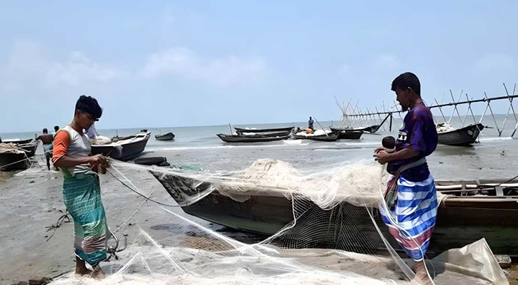 নিষেধাজ্ঞা শেষে পদ্মা-মেঘনায় ফের ইলিশ শিকার শুরু