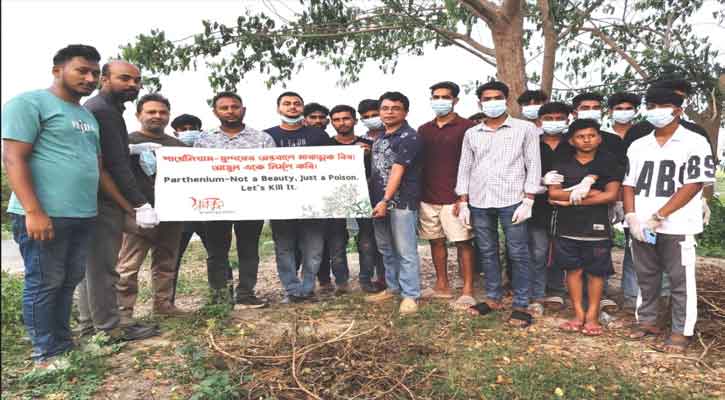 পার্থেনিয়াম সুন্দরের অন্তরালে মারাত্মক বিষ