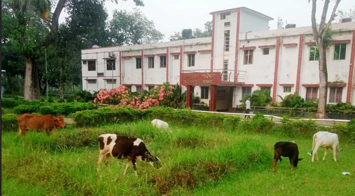 গরুর দখলে মহম্মদপুরের মুক্তিযুদ্ধ স্মৃতি চত্বর
