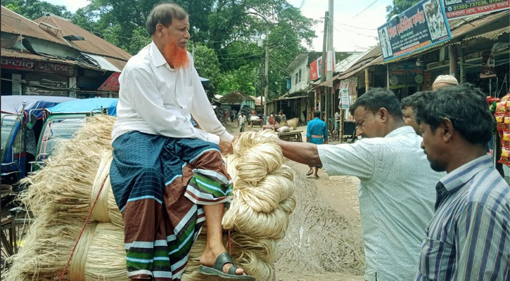 পাটের ভালো দামে খুশি কৃষক পাট পচানো নিয়ে দুশ্চিন্তা