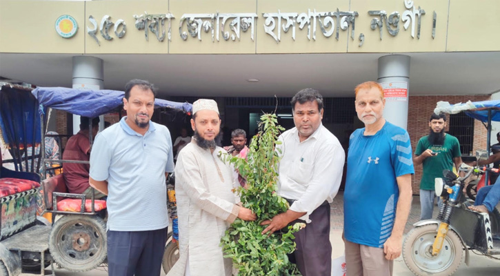 নওগাঁ জেনারেল হাসপাতালে চেরি গাছ উপহার: অনন্য নজির রাখলেন নওগাঁর ‘তাল বেলাল’