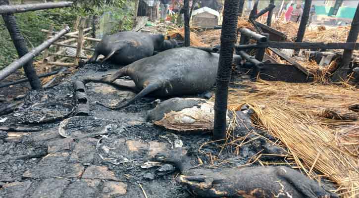 ফরিদপুর সদরপুরে  অগ্নিকান্ড  ঘটেছে