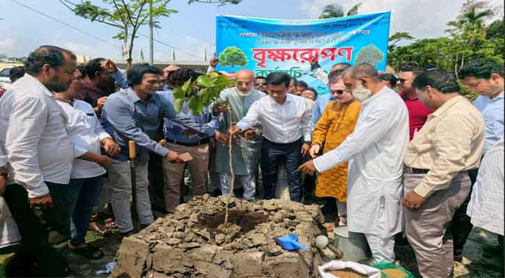 পিরোজপুরে বৃক্ষরোপণ কর্মসূচির উদ্বোধন