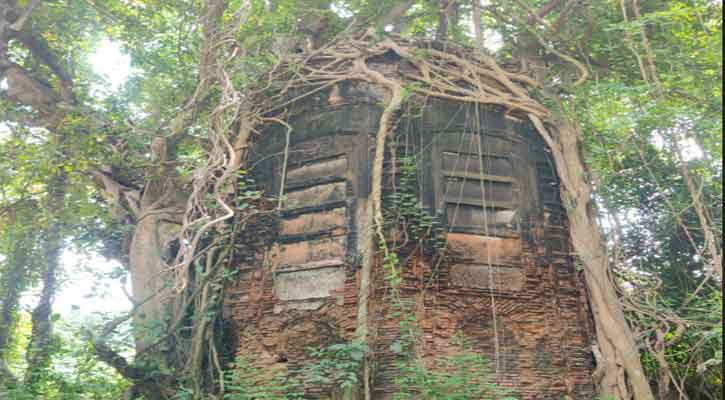 নগরকান্দায় প্রাচীন স্থাপনা  বটগাছের শিকড়ে আবদ্ধ