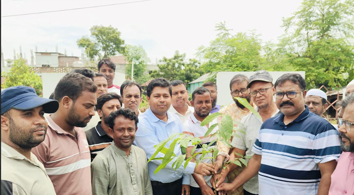 সিংড়ায় বৃক্ষরোপণ কর্মসূচির উদ্বোধন
