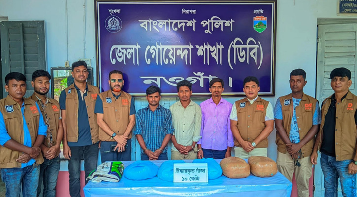 নওগাঁর পোরশায় ডিবির অভিযানে  ১০ কেজি গাঁজাসহ গ্রেপ্তার তিন