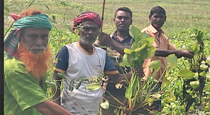 সিংড়ায় ৩০০ একর জমিতে বোরো চাষ অনিশ্চিত
