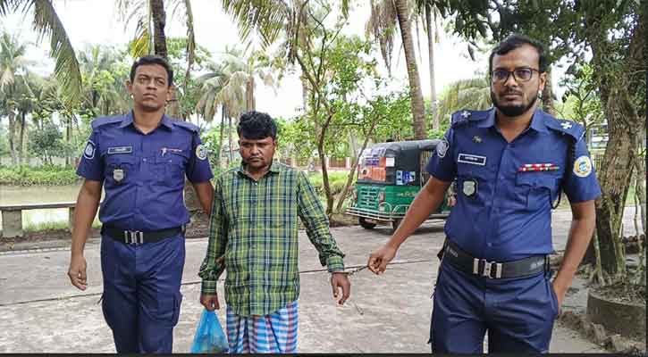 তালতলীর  ডাকাতি মামলার মূলহোতা পিচ্চি হাসান গ্রেপ্তার