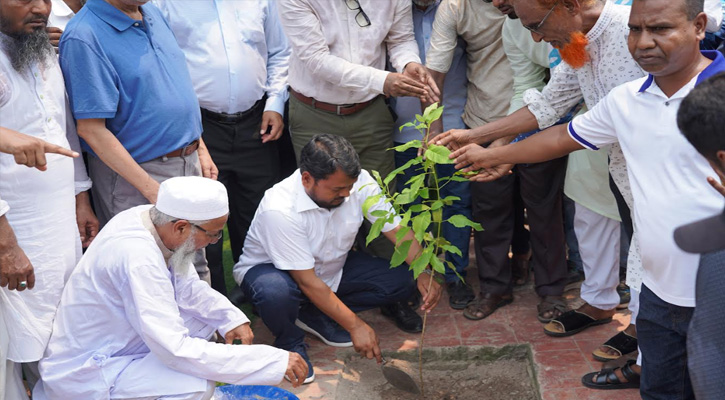 বৃক্ষরোপণ কর্মসূচির উদ্বোধন করলেন রাসিক প্রশাসক