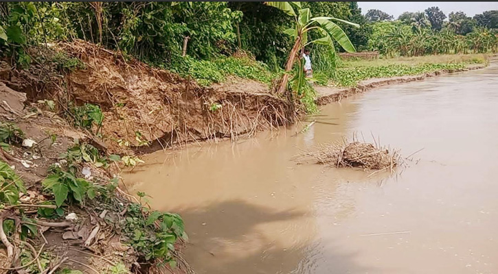 শ্রীপুরে গড়াই নদীর ভাঙনের মুখে বেড়িবাঁধ, ঝুঁকিতে ৫০০ পরিবার