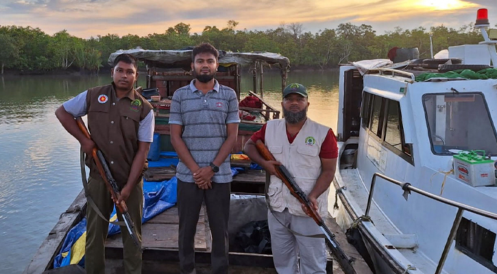 সুন্দরবনে গহীন থেকে ৮ শ কেজি চিংড়ি মাছ সহ ১ টি ট্রলার জব্দ