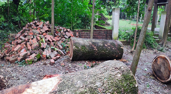 পলাশে  মুক্তিযোদ্ধার পারিবারিক কবরস্থানের প্রাচীর ভেঙে গাছপালা বিক্রি  জমি দখলের  অভিযোগ
