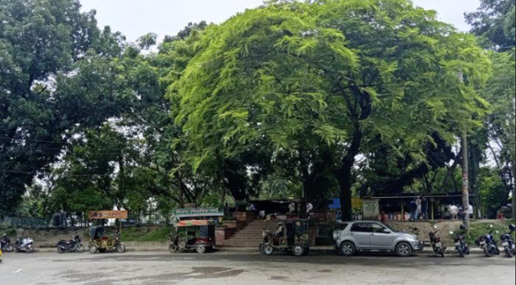 জীববৈচিত্র্য সংরক্ষণ এলাকা হলো রাজশাহীর শিমলা পার্ক, মানতে হবে যেসব নিয়ম
