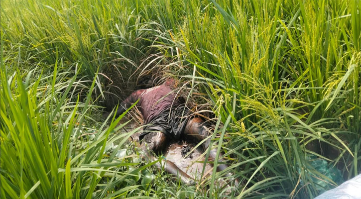কুমিল্লার লাকসামে এক  যুবকের মরদেহ উদ্ধার