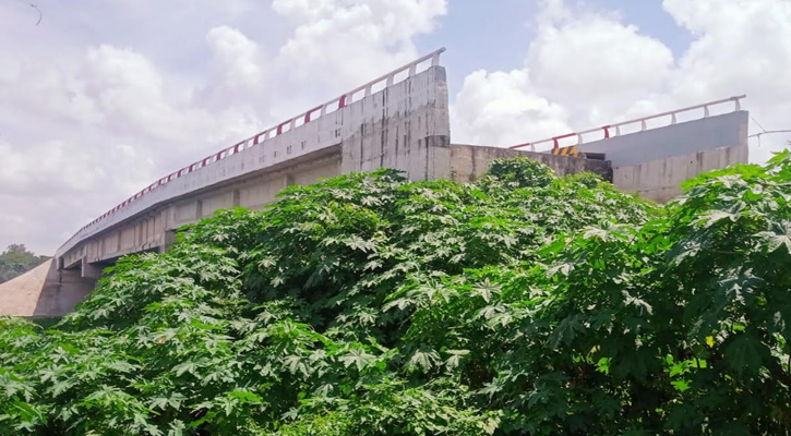 সেতু আছে, সড়ক নেই