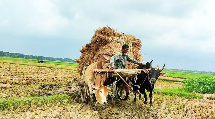 যমুনার চরে টিকে আছে ঘোড়ার গাড়ির ঐতিহ্য