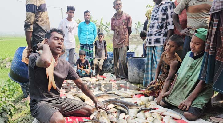 এক রাতেই শেষ দুই বছরের স্বপ্ন!