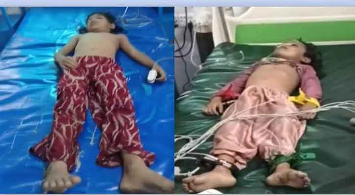 চকরিয়ায় পুকুরে ডুবে দুই শিশুর  মৃত্যু