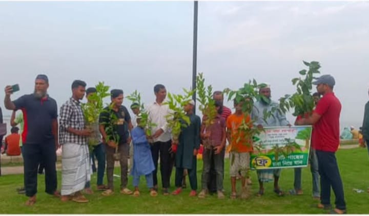 গ্রিন সিরাজগঞ্জ ক্লিন সিরাজগঞ্জ-এর উদ্যোগে বৃক্ষরোপণ  কর্মসূচি
