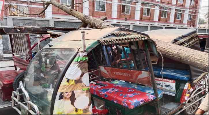 ফরিদপুর রাস্তার ওপর ভেঙে পড়ল মেহগনি গাছ