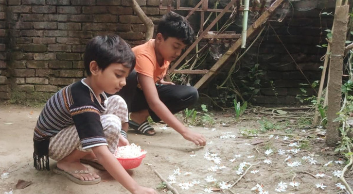 শিউলি ফুলের আলপনা