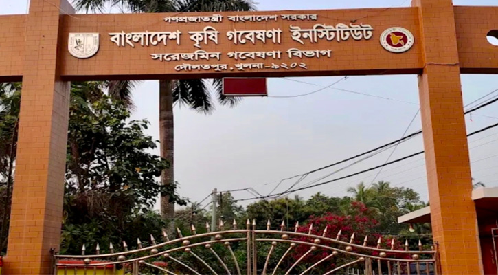 দৌলতপুর কৃষি গবেষণা ইনস্টিটিউটে মাটি ভরাটে  অভিযোগ