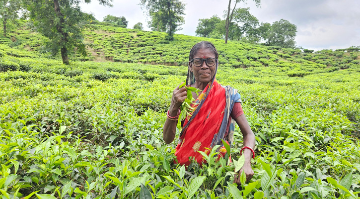 ২ হাজার চা-শ্রমিক ও পরিবারের দৃষ্টিসেবায় ব্র্যাক ব্যাংক ও ভিশনস্প্রিং