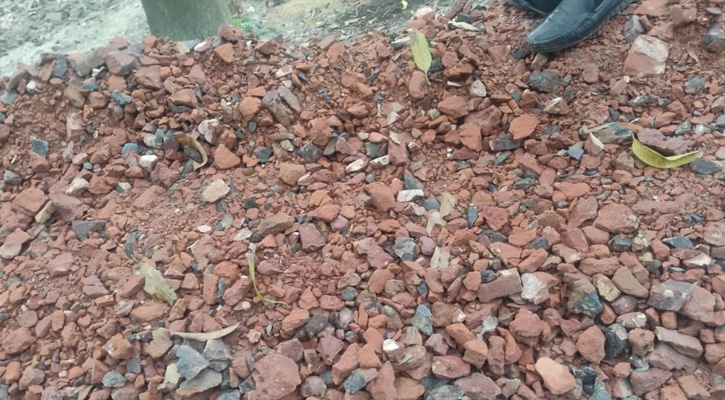 নিম্ন মানের খোয়া দিয়ে রাস্তা নির্মাণের অভিযোগ