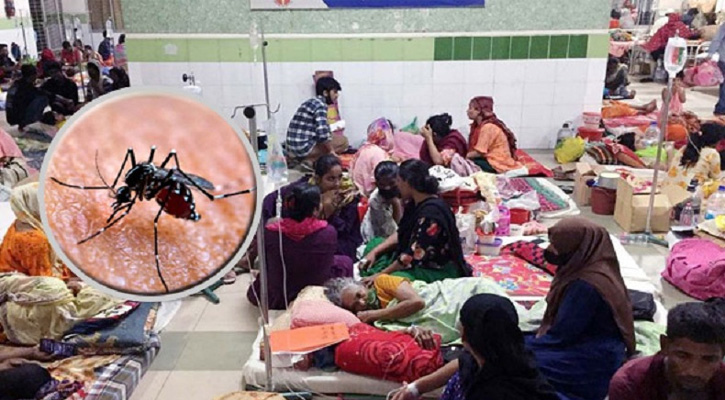 ডেঙ্গুতে আরও ৭ জনের মৃত্যু, আক্রান্ত ২২৪৯ জন