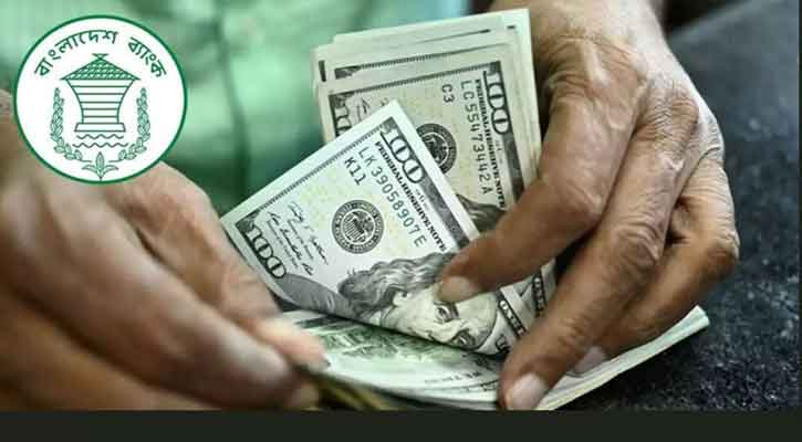 ১১ দিনে রেমিট্যান্স বেড়েছে ৪৪ শতাংশ