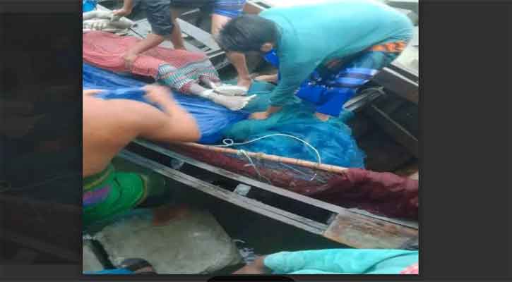 ‎লক্ষ্মীপুরে  নিখোঁজের ৩দিন পর জেলের মরদেহ উদ্ধার