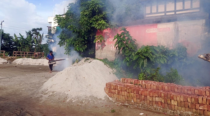 মাদারীপুর পৌরসভায় তিন মাসব্যাপী মশা নিধন অভিযান শুরু