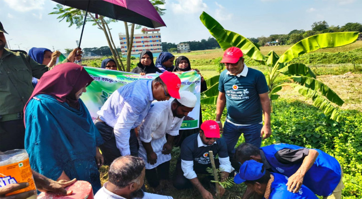 হাটহাজারীতে এক দিনে রোপণ হচ্ছে ৬৫০০ গাছ