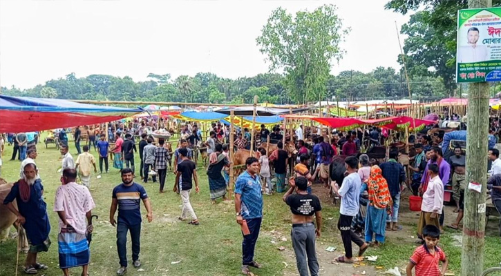 ঈদুল আজহা সামনে রেখে জমে উঠেছে কাশিয়ানী ভাটিয়াপাড়া পশুর হাট