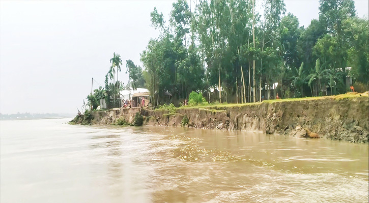 কুড়িগ্রামে ব্রহ্মপুত্রের ভাঙনে গোয়ালপুরী চরে গৃহহীন ৩০ পরিবার, ঝুঁকিতে আরও শতাধিক
