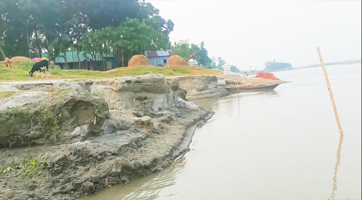 আকস্মিক বন্যায় কুড়িগ্রামে পাঁচ নদীর ৩৬ পয়েন্টের ভাঙনে ভিটেবাড়ি ছাড়া ৫ শতাধিক পরিবার