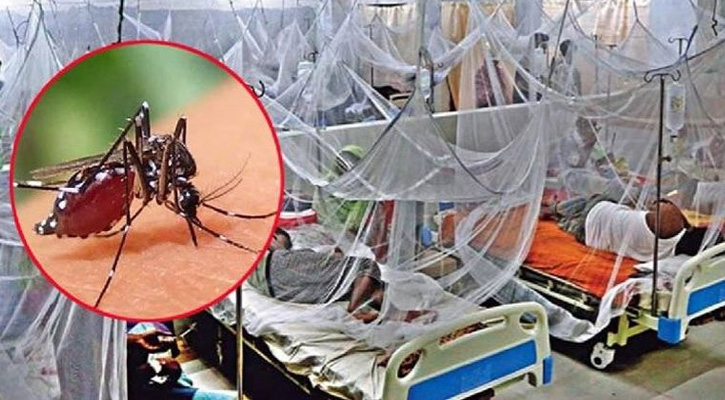 ডেঙ্গুতে ২৪ ঘণ্টায় আরও ৫ জনের মৃত্যু