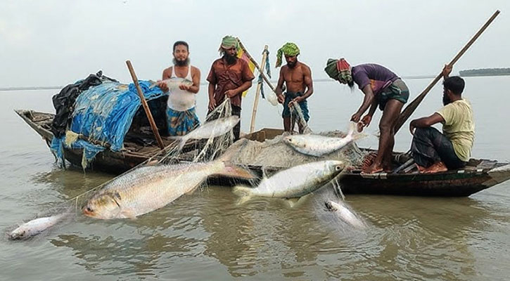 মা ইলিশ রক্ষায় সাগর-নদীতে ২২ দিনের নিষেধাজ্ঞা শুরু