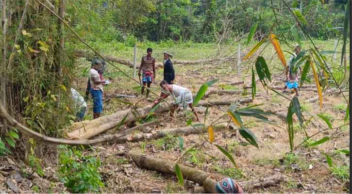 শ্রীপুরে জমি নিয়ে বিরোধে মা-ছেলেকে পিটিয়ে জখম