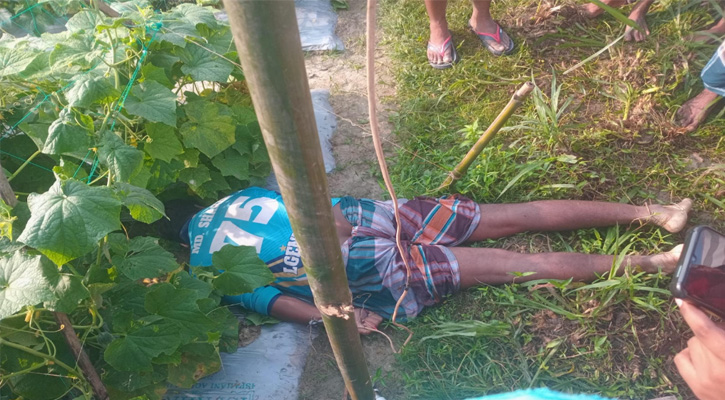 জয়পুরহাটে শশা ক্ষেতে টানা  বৈদ্যুতিক ফাঁদে প্রাণ গেল যুবকের