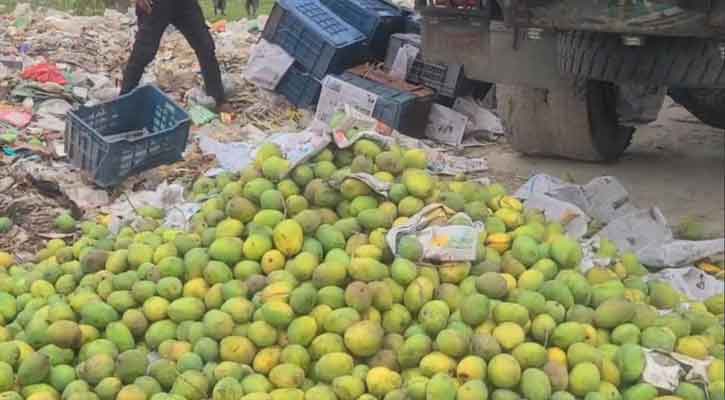 সাতক্ষীরায় অপরিপক্ক আম জব্দ, পরে ধ্বংস